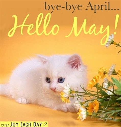 Bye Bye April Hello May Pictures Photos And Images For