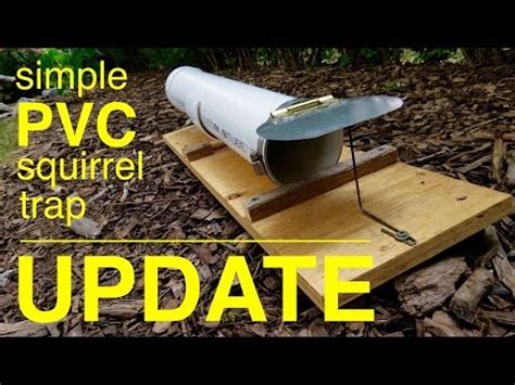 View all garden monthly checklists. How to Make a HUMANE PVC Squirrel Trap U P D A T E ...