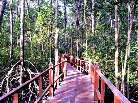 Nak rasa makanan paling sedap di pulau pinang masa bercuti ke sana nanti? MPV LANDSKAP DAN NURSERI: TAMAN NEGARA TANJUNG PIAI, JOHOR ...