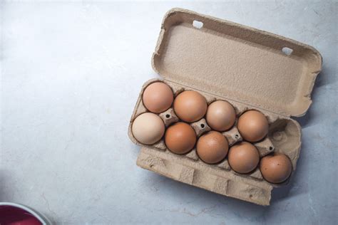Chicken Egg Allergy Ecarf