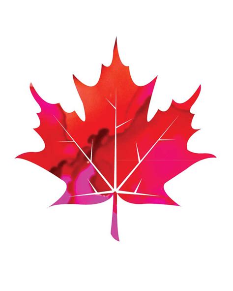 Maybe you would like to learn more about one of these? Canadian Maple Leaf Silhouette at GetDrawings | Free download