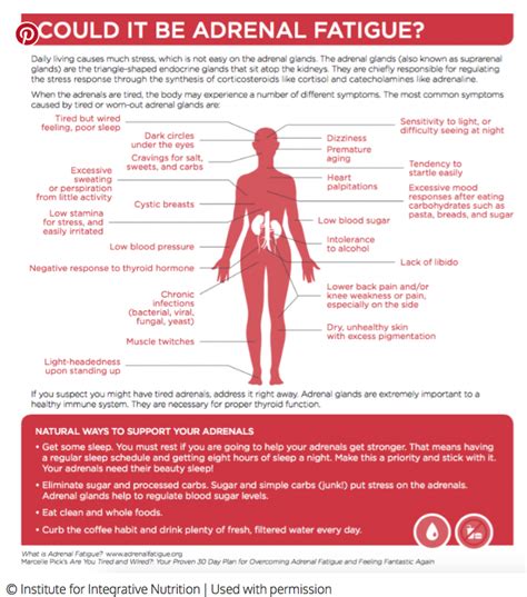 Symptoms Of Adrenal Fatigue And What To Do Artofit