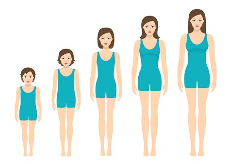 Women S Body Proportions Changing With Age Girl S Body Growth Stages