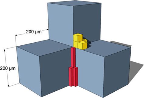 Voxel size can be influenced by receiver coil characteristics. Comparison of the voxel size of different image modalities ...
