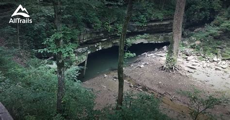 Best Trails In Mammoth Cave National Park Alltrails