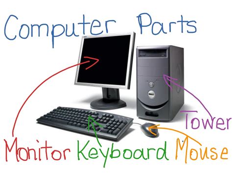 Terbaru 4 Basic Parts Of The Computer Paling Dicari