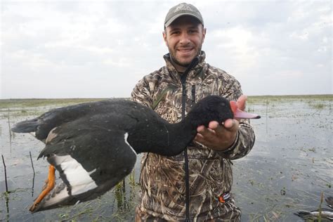 Duck Hunting In Argentina Huntourage