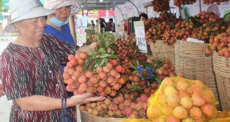 Bách khoa toàn thư mở wikipedia. Bắc Giang đẩy mạnh tiêu thụ vải thiều chính hiệu Lục Ngạn