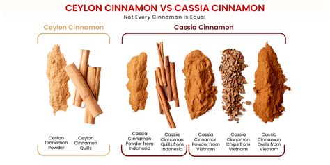 The Difference Between Cassia And True Ceylon Cinnamon Ceylon