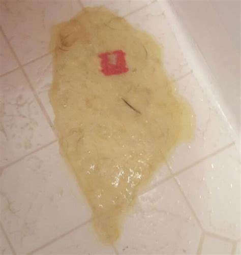 Should i take him to the vet? Dog Throwing Up Yellow Mucus - petfinder
