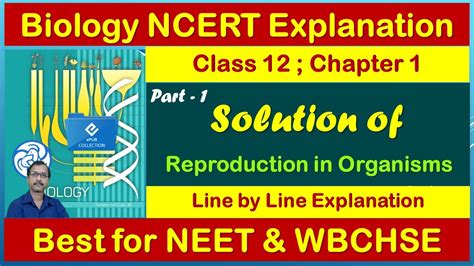 Ncert Solutions Of Reproduction In Organismsclass 12 Biologychapter 1