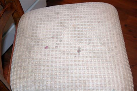 Searching for the best upholstery cleaner? Homemade Upholstery Cleaner Recipe - Food.com
