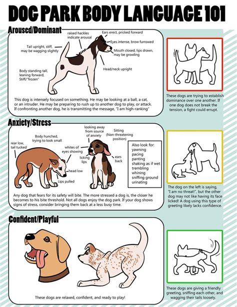 14 Best Images About Dogs Body Language On Pinterest Trainers