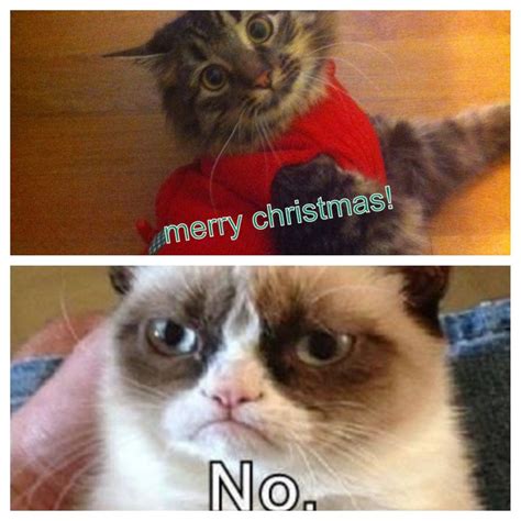 Merry Christmas Grumpy Cat Grumpy Cat Humor Grumpy Cat Christmas