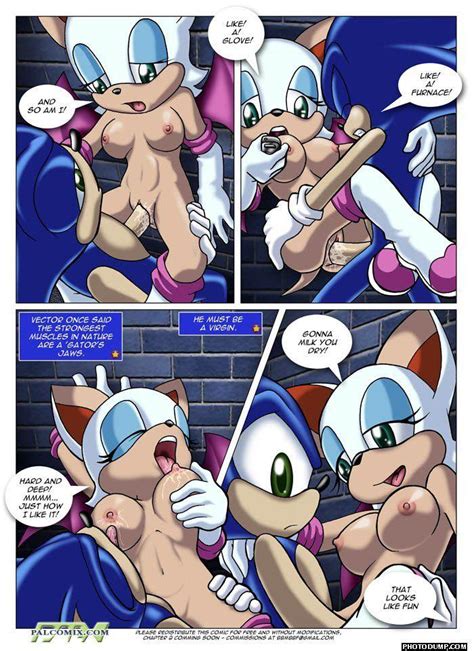 Sonic And Rouge Sex Photos And Other Amusements Comments