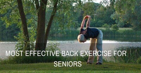 Most Effective Back Exercises For The Elderly Wise Choice Ihc