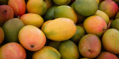 Mangoes Real Food Encyclopedia Foodprint