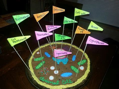 Animal crossing cookies by coderxbaker. Animal cell project cookie cake | school projects ...