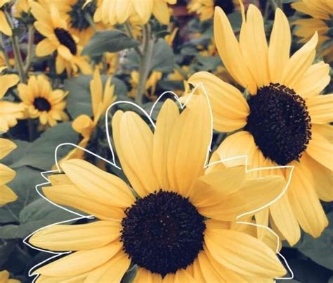 Image result for sleep aesthetic 300x300 in 2019 aesthetic. Yellow Aesthetic Pictures 300X300 - It goes | Aesthetic ...