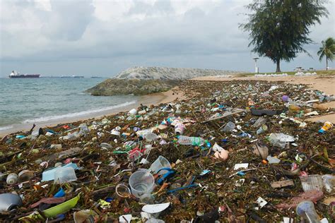 Trash Filled Waters At Marina South Pier Sighted As Southwest Monsoon