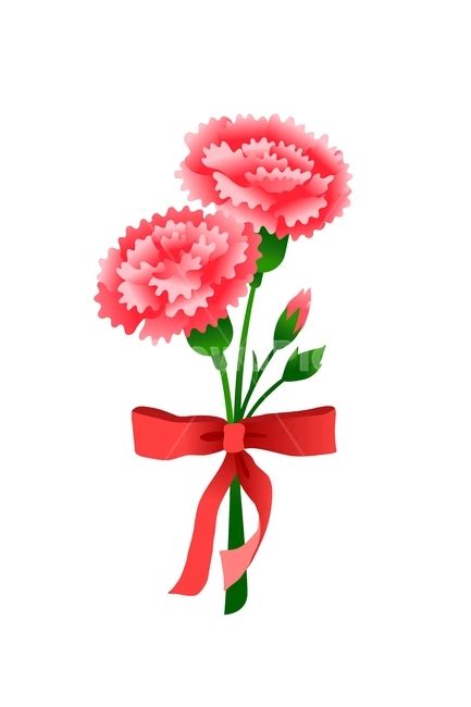 1,628 likes · 3 talking about this. carnation, 카네이션, 리본, 어버이날, 스승의날, 사진,이미지 ...