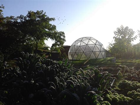 Biodomes Glass Geodesic Domes Modern Sustainable Homes Geodesic