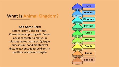 Free Animal Kingdom Powerpoint Template Myfreeslides