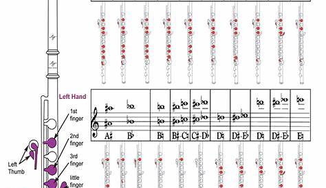Printable Flute Finger Chart - Printable Word Searches
