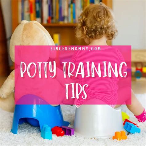Potty Training Tips Sincere Mommy