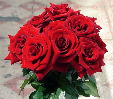 Bouquet De Fleurs Roses Rouges Photo Gratuite Sur Pixabay