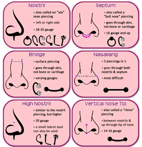 14 Piercing Charts You Wish You Knew About Sooner Piercing Chart Nose Piercing Different