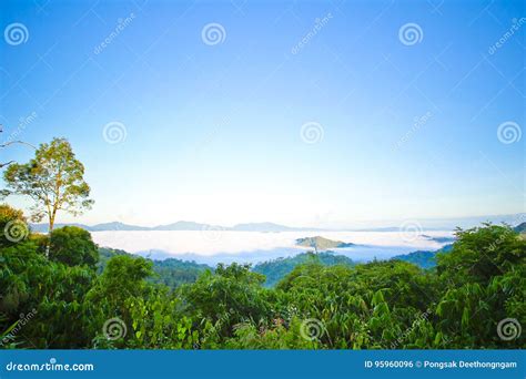 Morning Mist At Tropical Mountain Range Stock Photo Image Of Mist