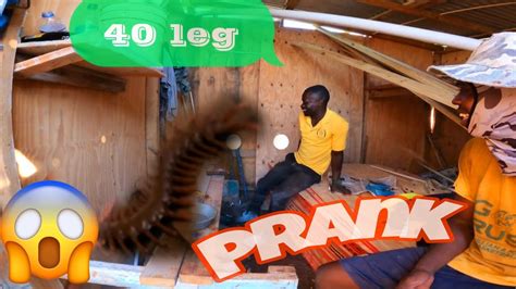 Risking My Job To Prank My Boss Fake Centipede40 Leg 😨 Youtube