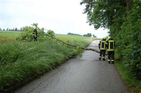 Die daten werden direkt vom landesfeuerwehrkommando (www.ooelfv.at) zur verfügung gestellt. Mauthausen: Baum über Straße