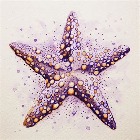 Purpura Starfish Painting By William Love
