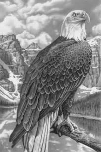 Angry birds mighty eagle coloring pages bald eagle coloring pages free bald eagle coloring pages beyblade earth eagle coloring pages. Bald Eagle by markstewart on DeviantArt