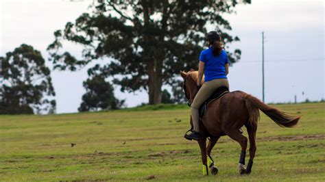 Horse Riding - Lady Riding a Horse | Horse riding, Riding ...