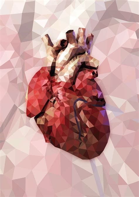 Anatomical Heart Wallpapers Top Free Anatomical Heart Backgrounds