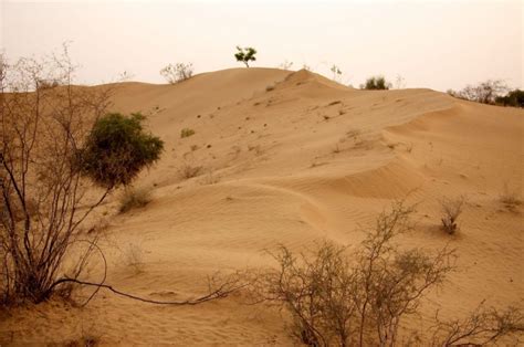 Thar Desert Largest Subtropical Desert In Rajasthan India
