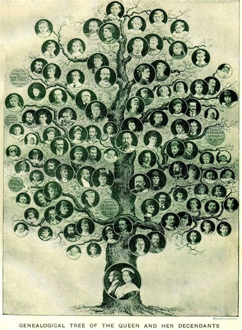 Queen Victoria s Family Tree Art Genealogia Árvore genealógica e Rainha vitória