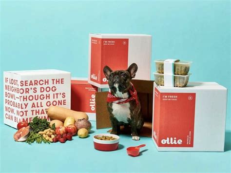 How much does ollie dog food cost? Ollie's fresh dog food was a hit with my miniature poodle ...