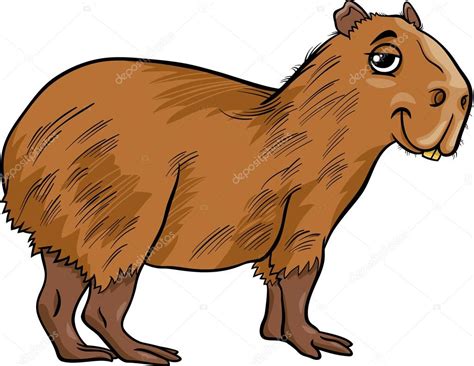 Los carpinchos, considerados como los roedores más grandes del mundo, deben huir de su hábitat como consecuencia del acoso que sufren por parte de los cazadores, sin embargo los habitantes de. Ilustración de dibujos animados animales carpincho ...