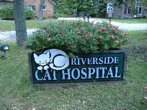 Get info on riverside cat hospital. Hospital Tour - Riverside Cat Hospital - Okemos, MI