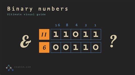 Intro To Binary Numbers And Bitwise Operations Ultimate Visual Guide