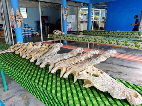Kami memperkenalkan aminah homestay teluk sengat dengan tawaran yang menarik! Ladang Buaya Teluk Sengat Kota Tinggi, Terbesar di ...
