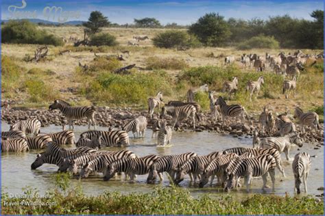 Wildlife Travel Guide - ToursMaps.com