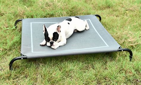 Lit surélevé pour chien | Groupon Shopping