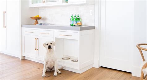 Pamper Your Pup - 5 Dog-Friendly Designs for Your Home