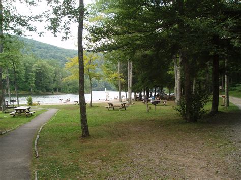 Picnic Area at Little Pond Campground - NYSDEC Campgrounds | Catskill