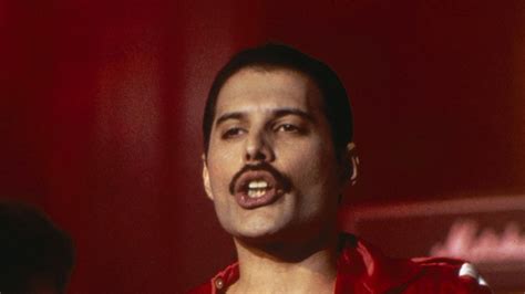 An Icon Remembered Freddie Mercury Died 25 Years Ago